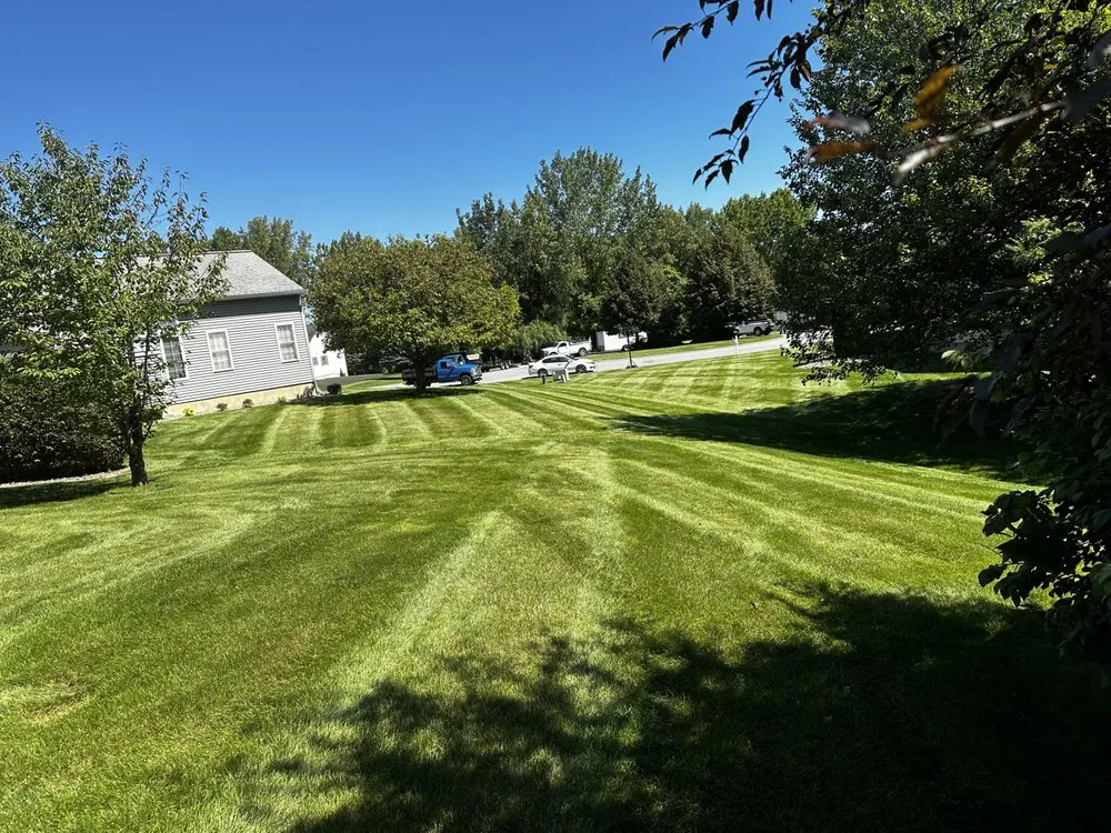 Trusted yard cleanup service for residential properties across Troy, NY - Adams