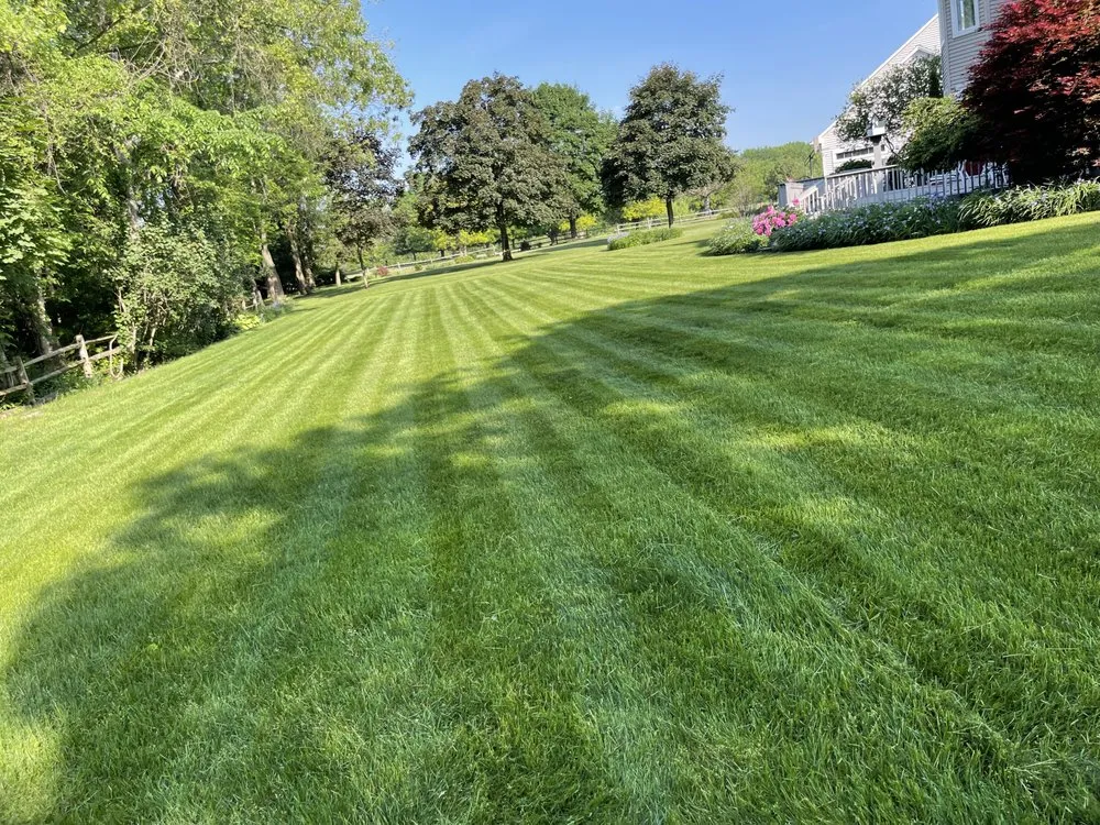 Top-rated yard cleanup service for year-round maintenance across Troy, NY - Adams