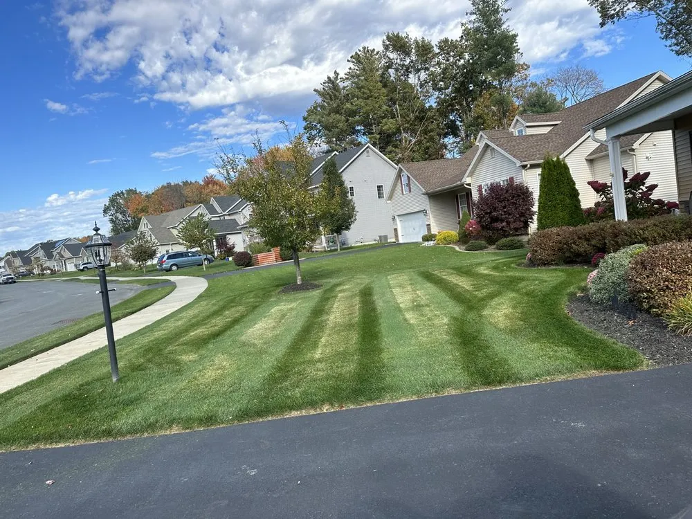 Local landscape design experts serving Troy, NY - Adams