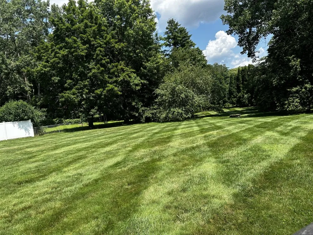 Trusted residential landscaping for year-round maintenance across Troy, NY - Adams