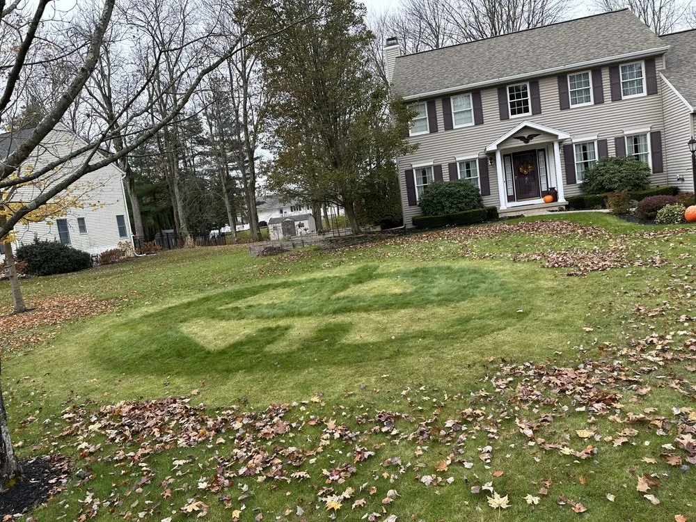 Affordable outdoor landscaping experts serving Troy, NY - Adams