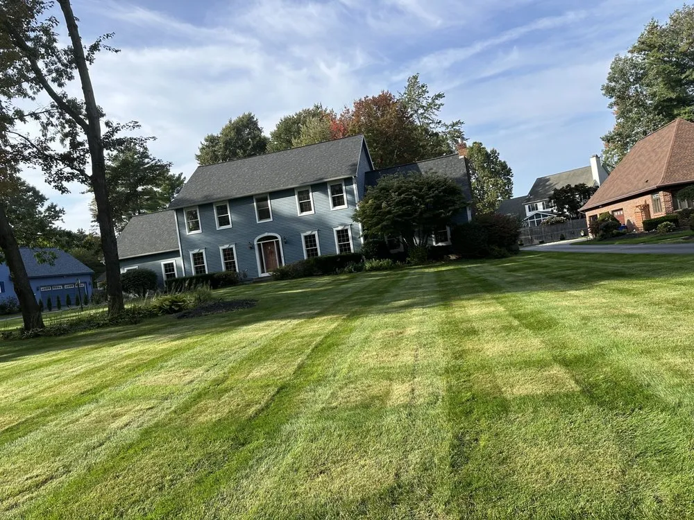 Expert landscape installation in Troy, NY by Adams