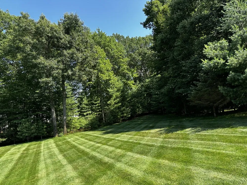 Custom lawn care service for year-round maintenance in Troy, NY by Adams