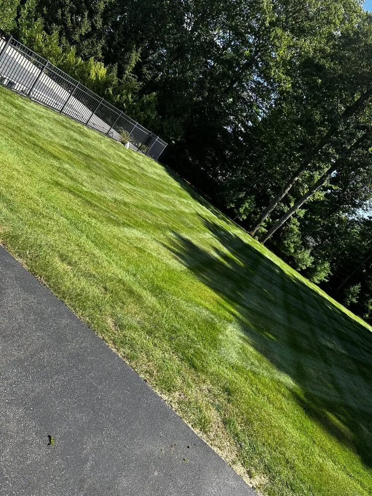 Trusted landscape design in Troy, NY by Adams