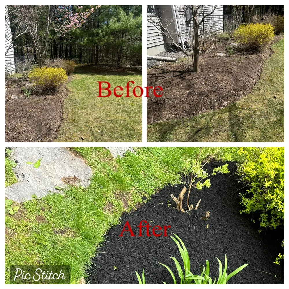 Affordable residential landscaping experts serving South Portland, ME - Adam’s Yard Service