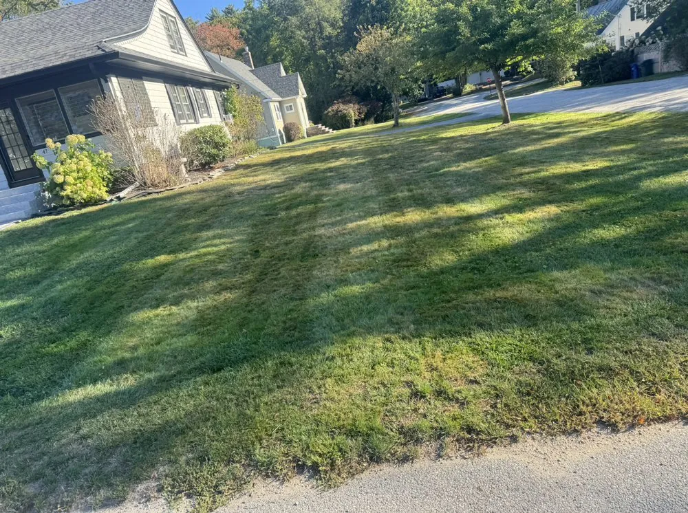 Custom lawn care service in South Portland, ME - Adam’s Yard Service