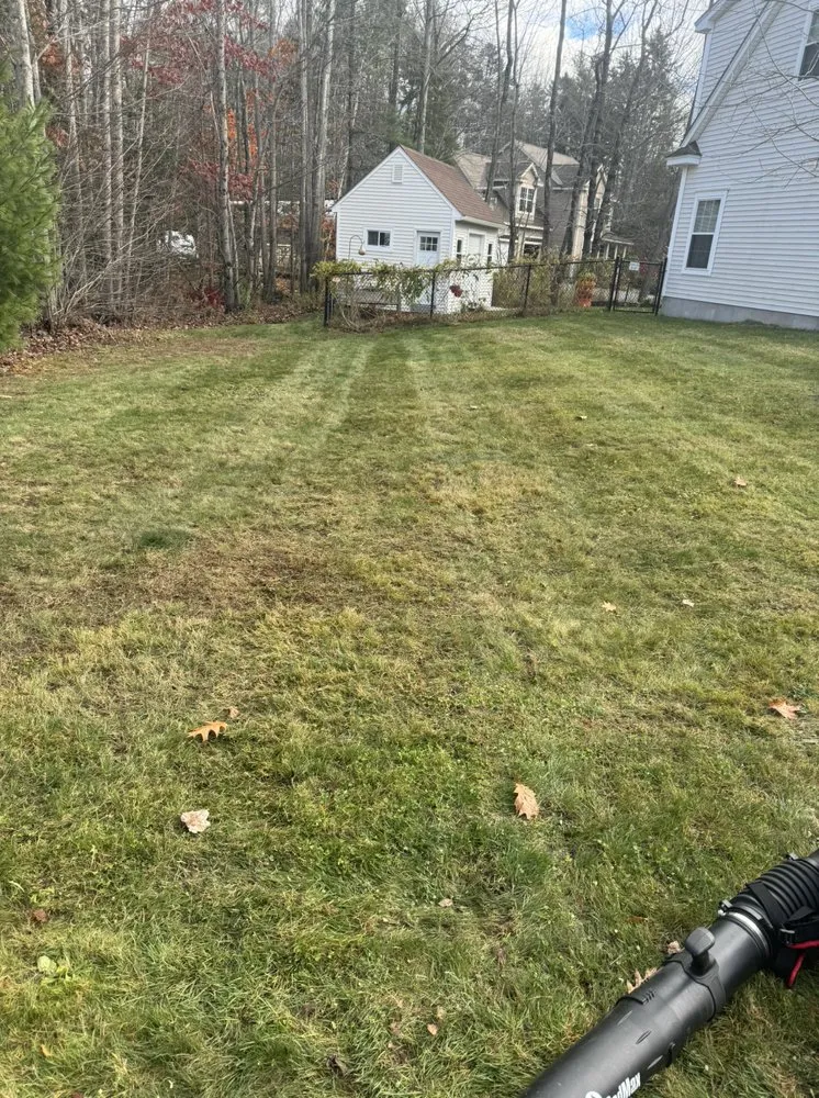 Expert lawn care service experts serving South Portland, ME - Adam’s Yard Service