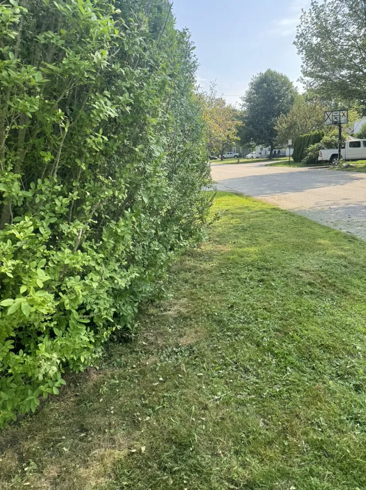 Professional landscaping services experts serving South Portland, ME - Adam’s Yard Service