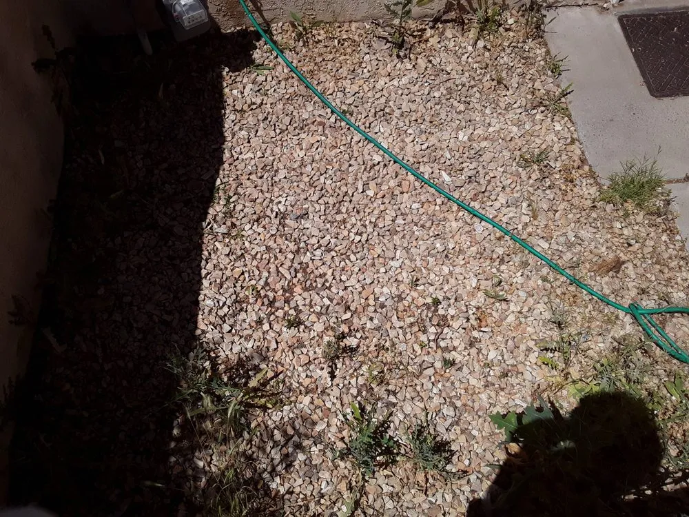 Top-rated landscaping services in Las Cruces, NM by Adams yard work