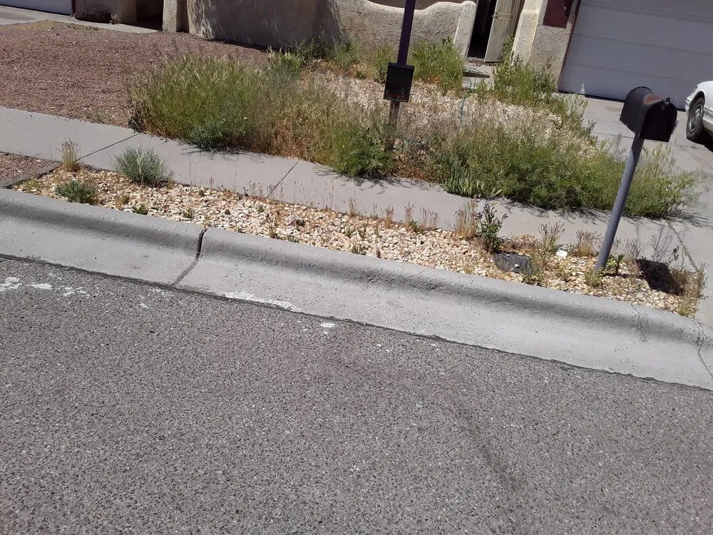 Trusted landscape design with custom design across Las Cruces, NM - Adams yard work