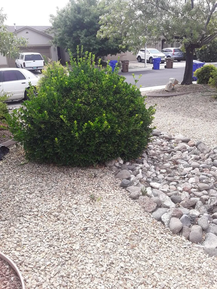 Expert lawn mowing service in Las Cruces, NM - Adams yard work