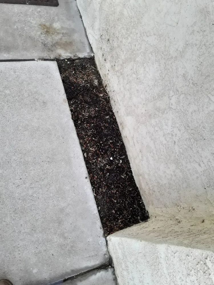 Expert landscaping services for outdoor upgrades in Las Cruces, NM by Adams yard work