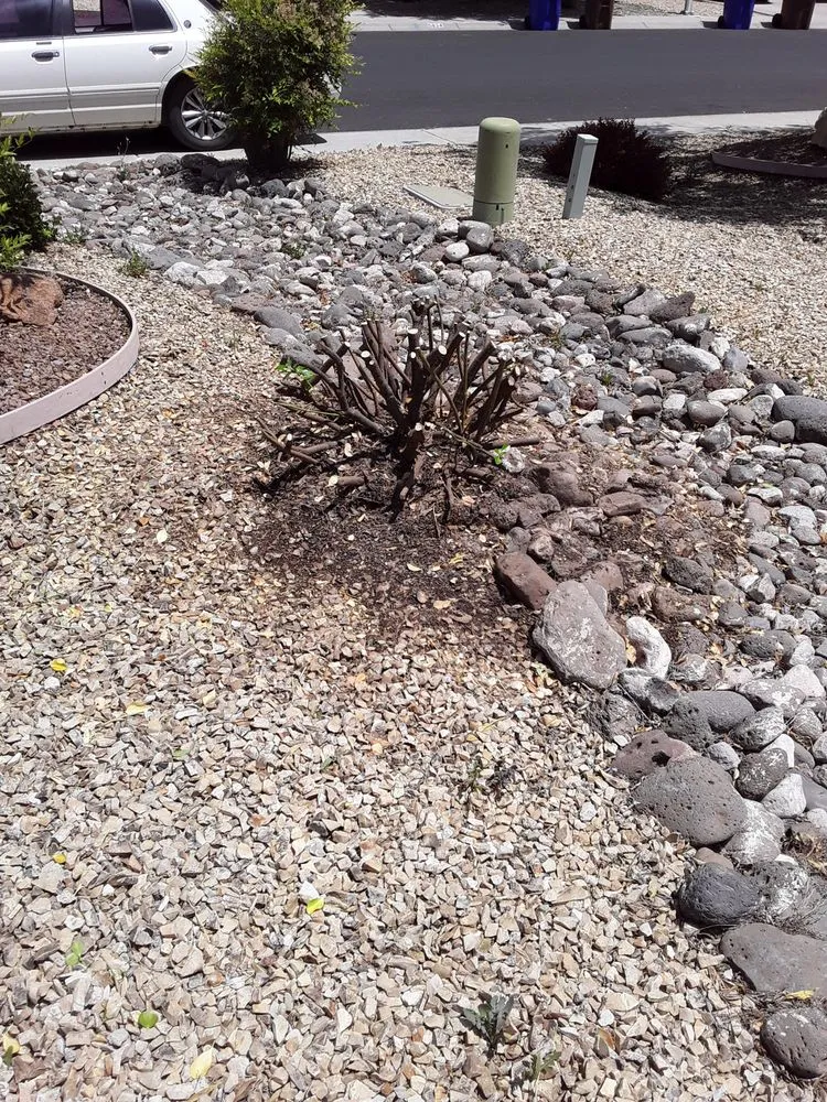 Expert landscaping services for outdoor upgrades across Las Cruces, NM - Adams yard work