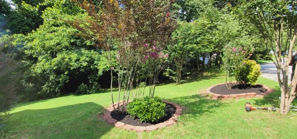 Reliable yard cleanup service experts serving Simpsonville, SC - Adam's Yardscapes
