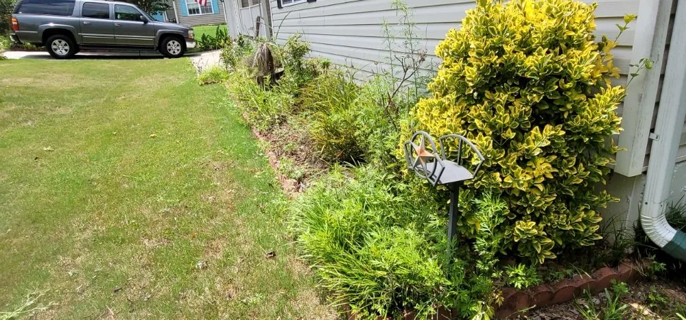 Local garden landscaping in Simpsonville, SC by Adam's Yardscapes