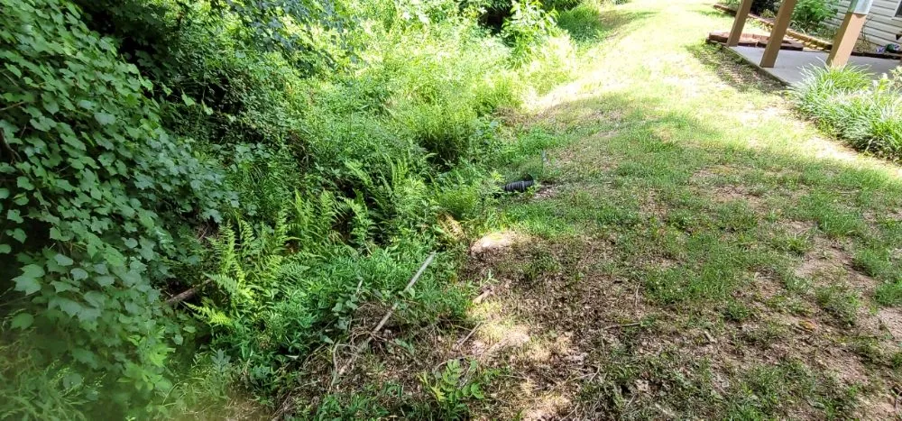 Trusted landscape design in Simpsonville, SC by Adam's Yardscapes