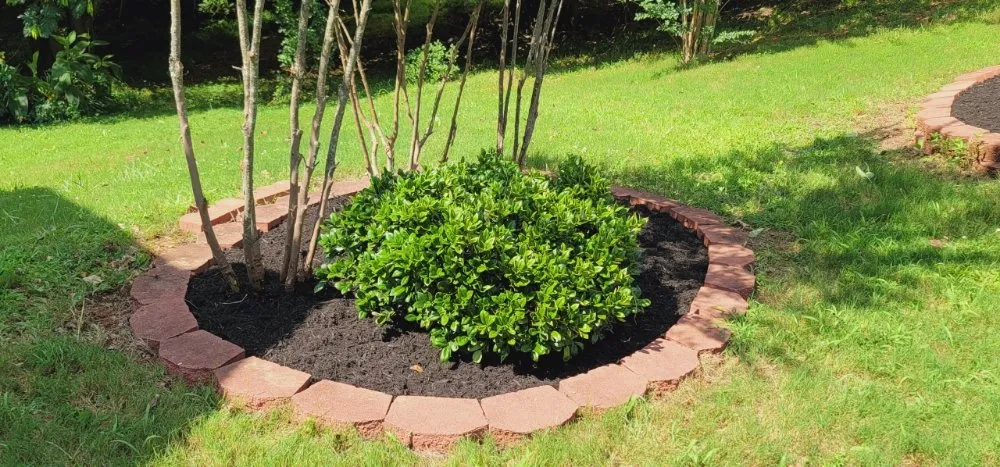 Custom lawn care service in Simpsonville, SC - Adam's Yardscapes