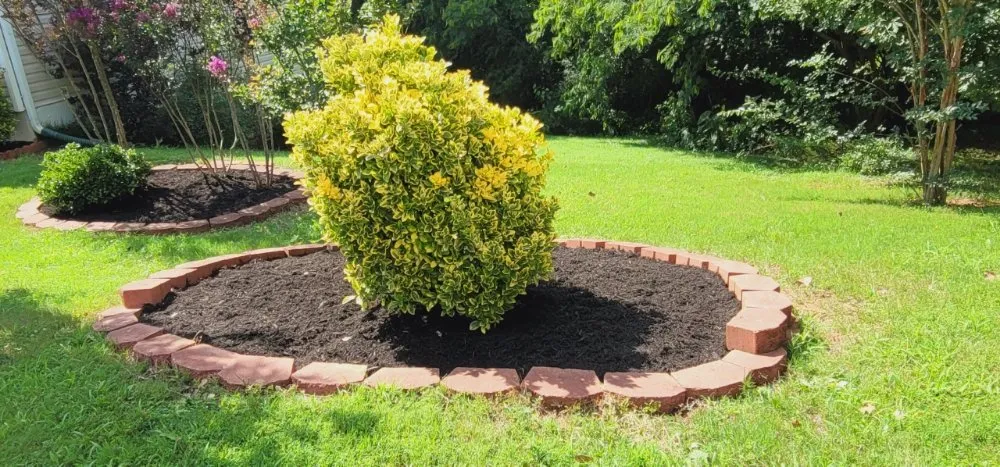 Professional lawn mowing service near you in Simpsonville, SC by Adam's Yardscapes