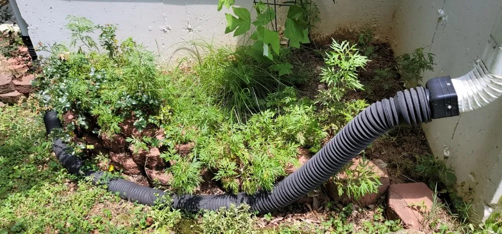 Local garden landscaping for homes across Simpsonville, SC - Adam's Yardscapes