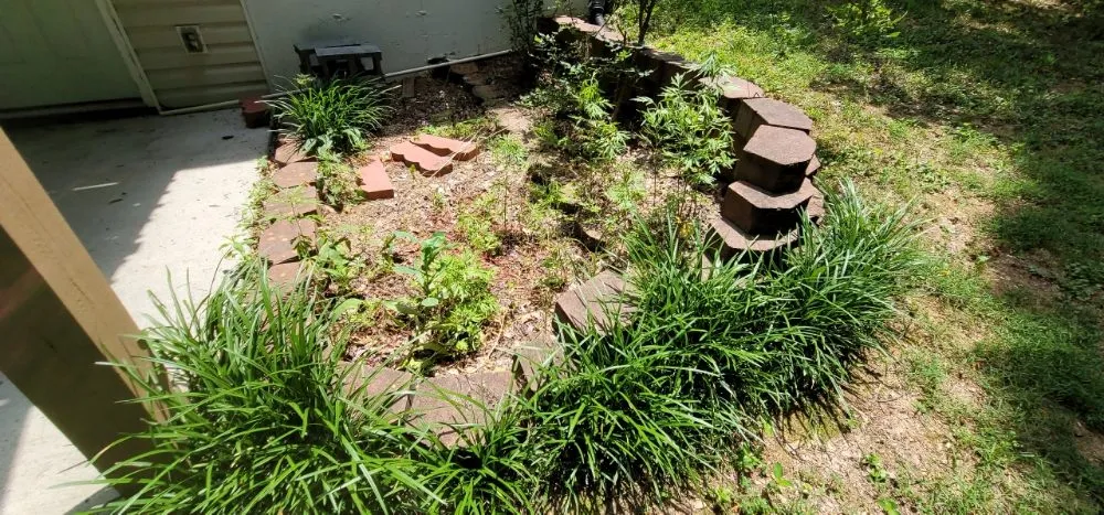 Reliable landscaping services in Simpsonville, SC - Adam's Yardscapes
