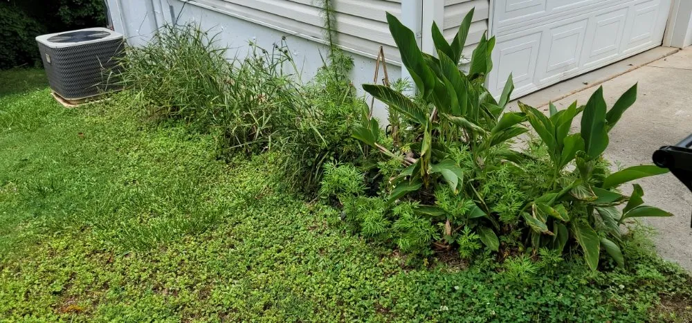 Top-rated lawn mowing service for residential properties in Simpsonville, SC by Adam's Yardscapes