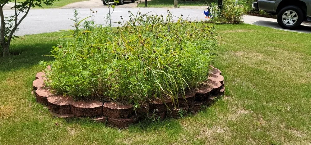 Top-rated outdoor landscaping in Simpsonville, SC by Adam's Yardscapes