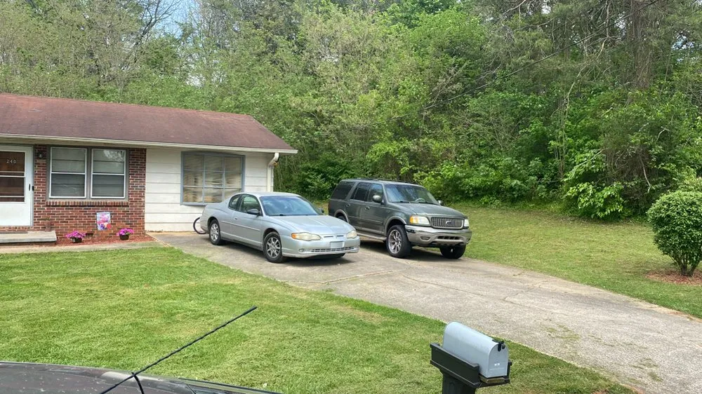 Affordable yard cleanup service experts serving Lenoir, NC - Adams60yz