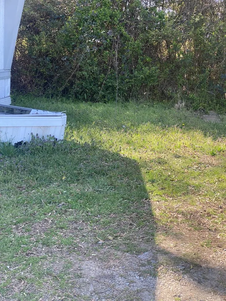 Affordable residential landscaping experts serving Lenoir, NC - Adams60yz