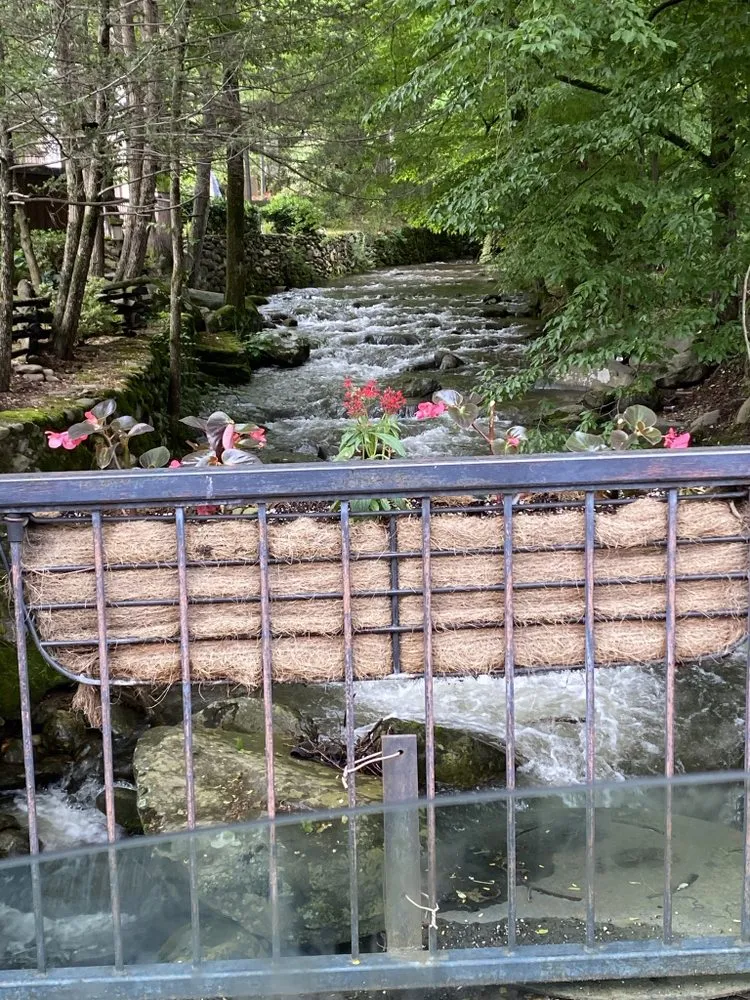 Trusted landscape design near you in Lenoir, NC by Adams60yz