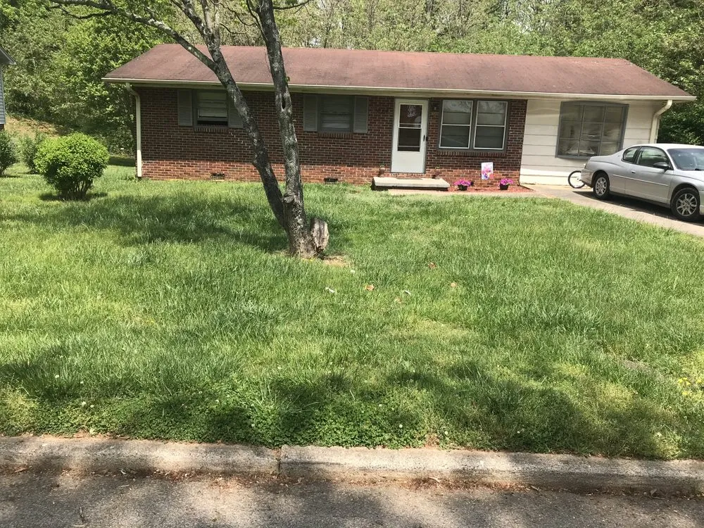 Custom lawn mowing service with custom design across Lenoir, NC - Adams60yz