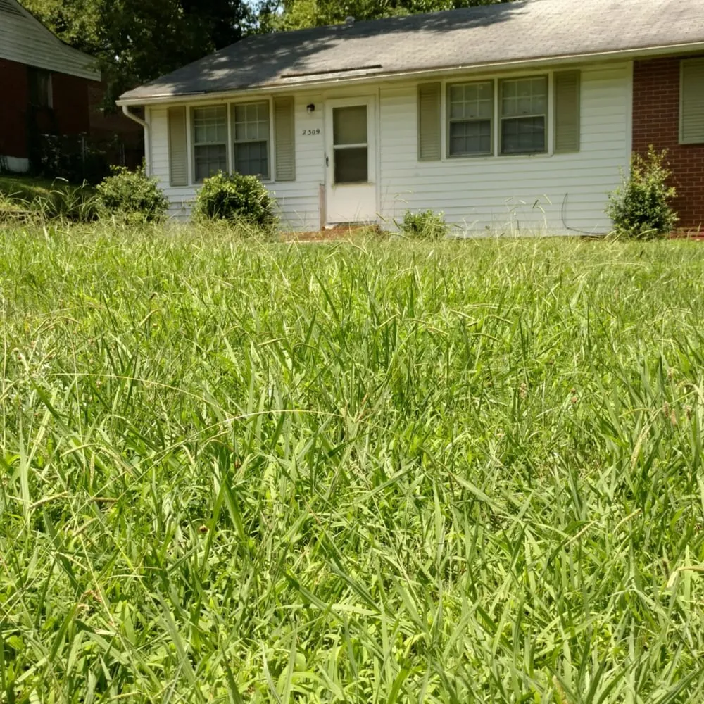 Reliable lawn care service in Knightdale, NC - Adamson Lawn Care