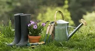 Top-rated lawn care service near you in Palmyra, IN by Adamson We-Gro
