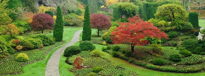 Custom outdoor landscaping for beautiful yards across Palmyra, IN - Adamson We-Gro