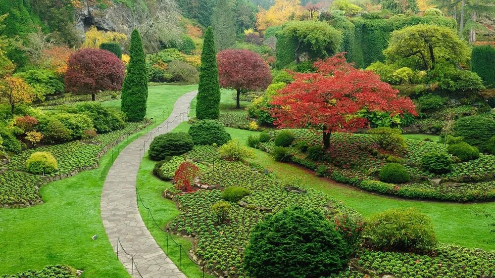 Trusted landscaping services near you in Palmyra, IN by Adamson We-Gro