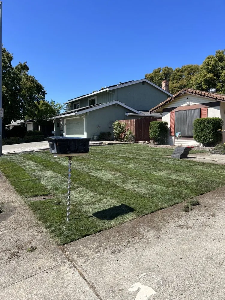 Reliable garden landscaping experts serving Fairfield, CA - Adan Concrete Landscaping & Maintenance