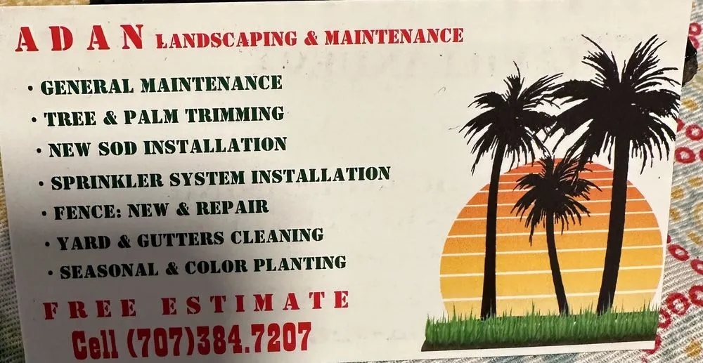 Custom yard cleanup service experts serving Fairfield, CA - Adan Concrete Landscaping & Maintenance