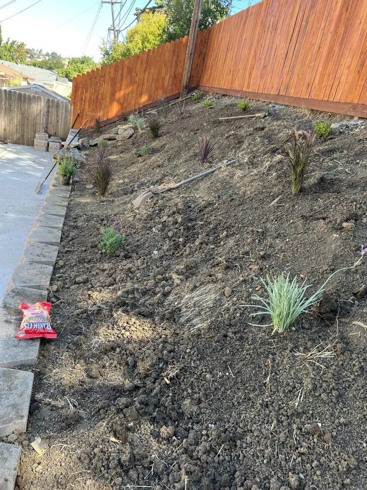 Reliable outdoor landscaping experts serving Fairfield, CA - Adan Concrete Landscaping & Maintenance