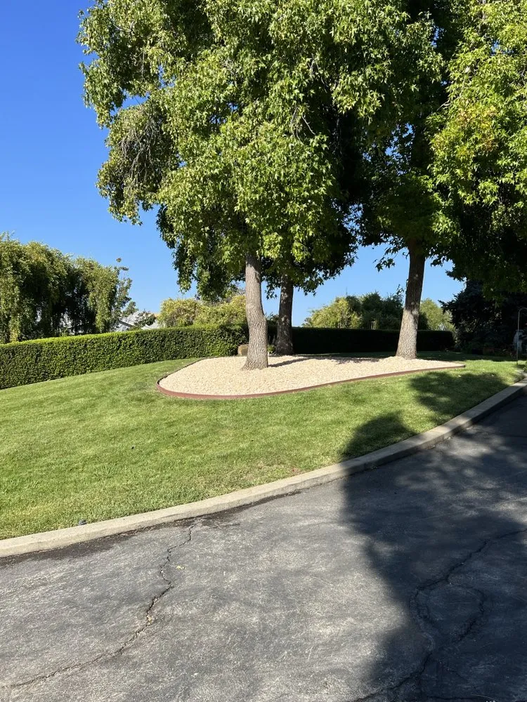 Custom lawn care service experts serving Fairfield, CA - Adan Concrete Landscaping & Maintenance