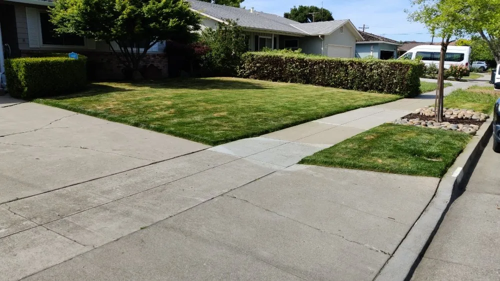 Reliable lawn care service experts serving Milpitas, CA - Adan Gonzalez Landscaping