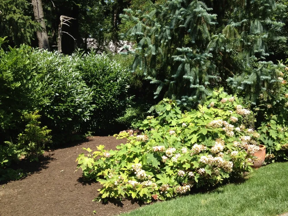 Professional lawn care service in New Castle, DE - Adan Landscaping