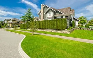 Top-rated yard cleanup service with custom design across New Castle, DE - Adan Landscaping