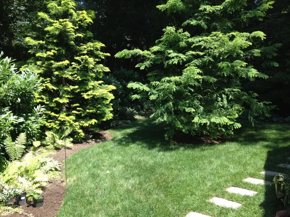 Affordable yard maintenance experts serving New Castle, DE - Adan Landscaping