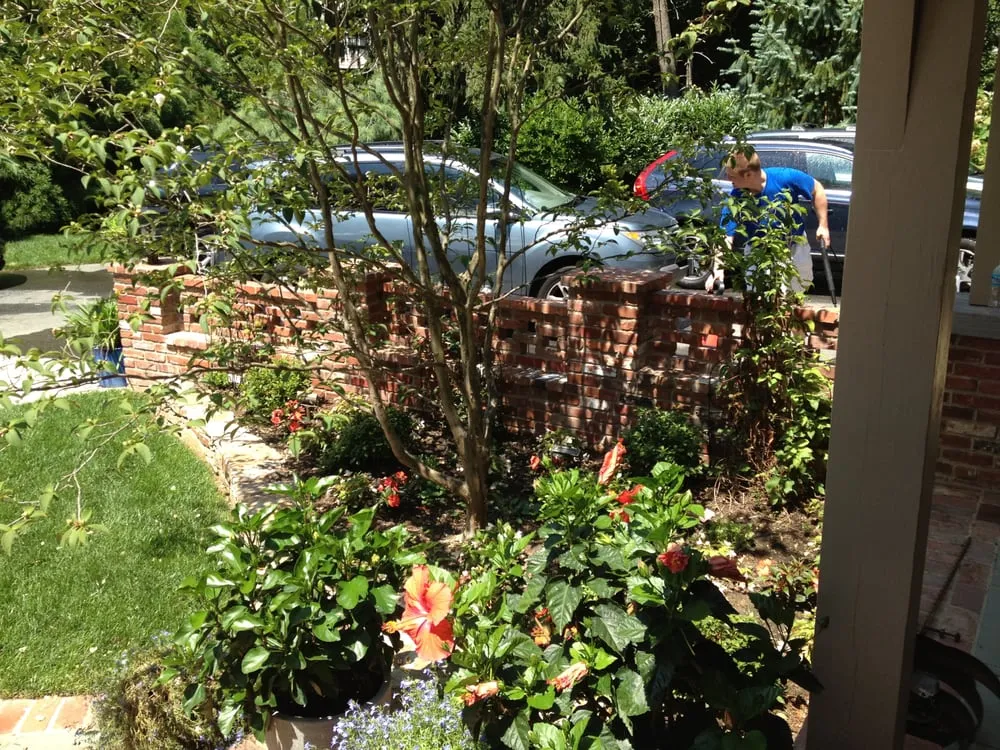 Trusted lawn mowing service for year-round maintenance across New Castle, DE - Adan Landscaping