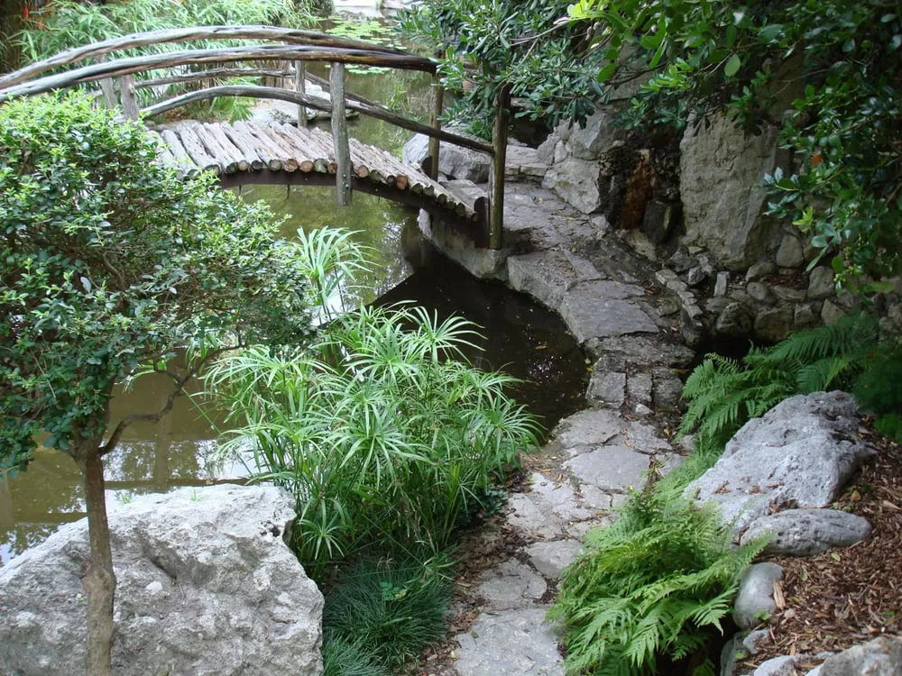 Expert yard cleanup service experts serving New Castle, DE - Adan Landscaping