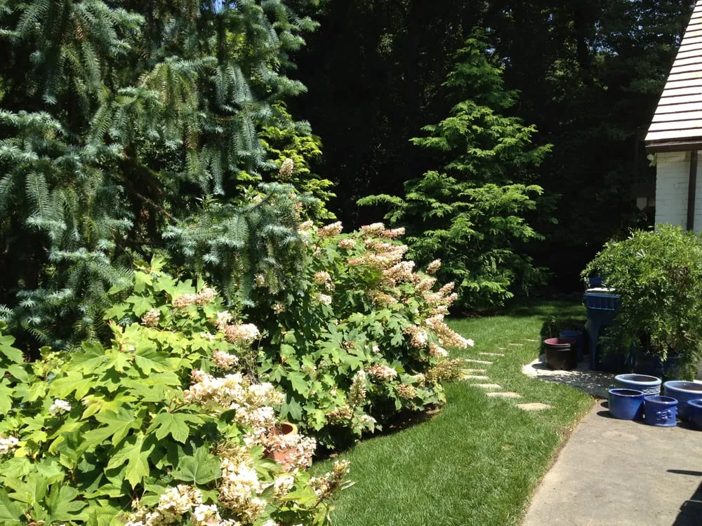 Local lawn mowing service experts serving New Castle, DE - Adan Landscaping