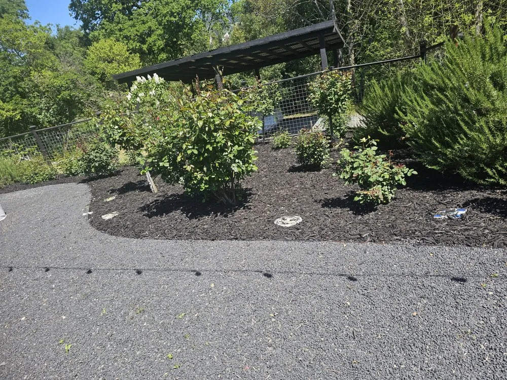 Professional outdoor landscaping for year-round maintenance in Angwin, CA by Adan Reyes