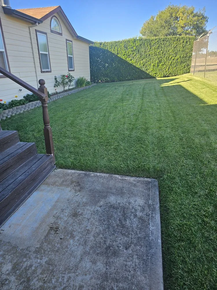 Local garden landscaping experts serving Angwin, CA - Adan Reyes