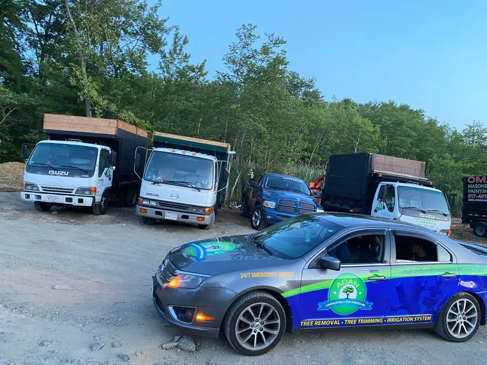 Affordable yard maintenance near you across Boston, MA - Adan Tree Services