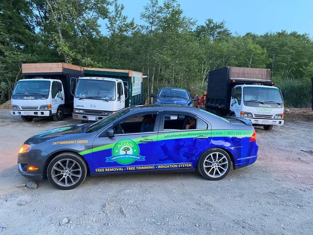 Trusted outdoor landscaping experts serving Boston, MA - Adan Tree Services