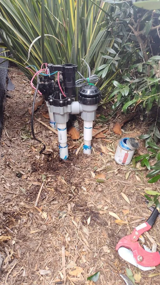 Affordable lawn care service in Los Angeles, CA by Adan's Gardening Services